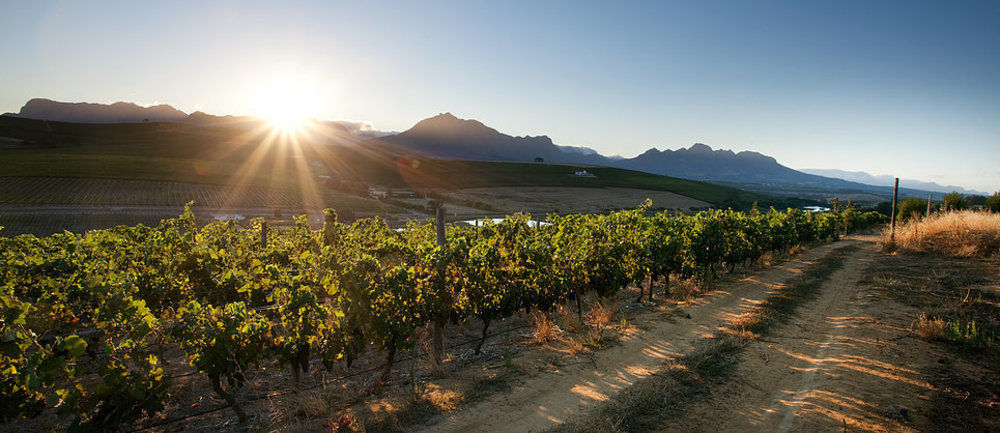 Brenaissance Wine & Stud Estate Hotell Stellenbosch Exteriör bild