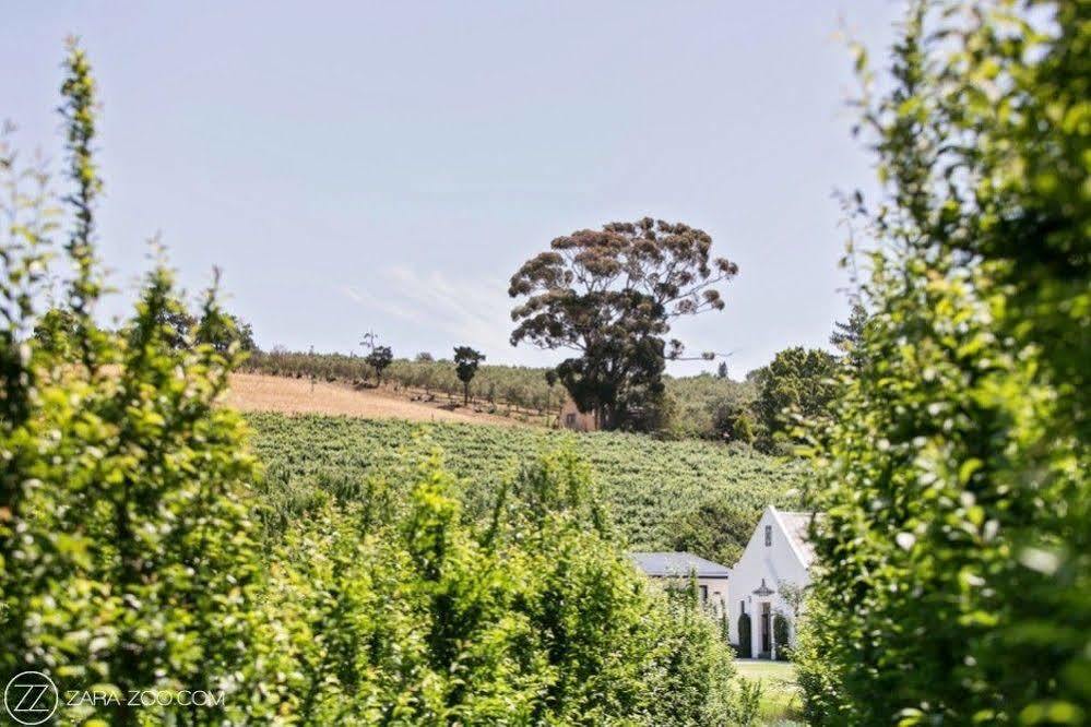 Brenaissance Wine & Stud Estate Hotell Stellenbosch Exteriör bild