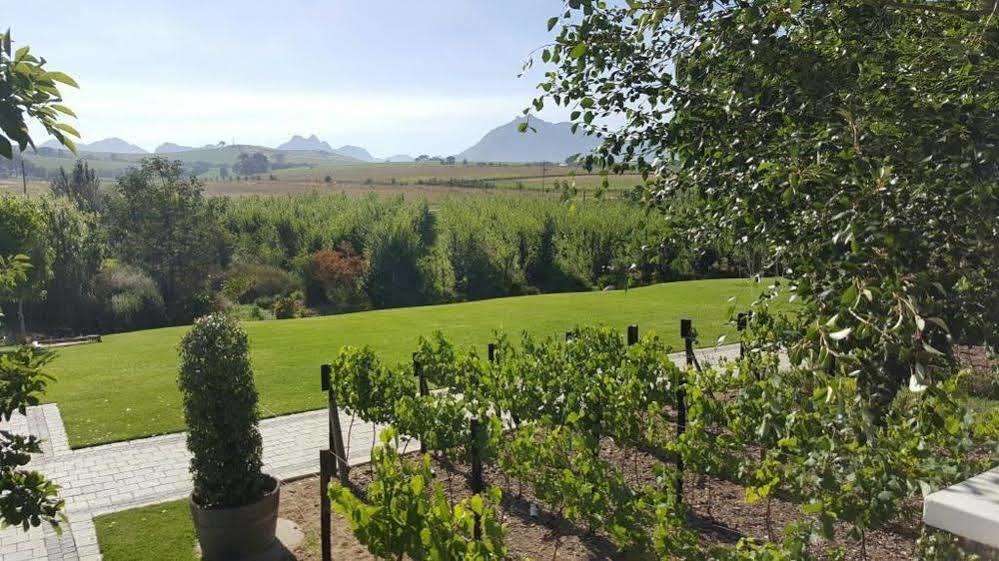 Brenaissance Wine & Stud Estate Hotell Stellenbosch Exteriör bild